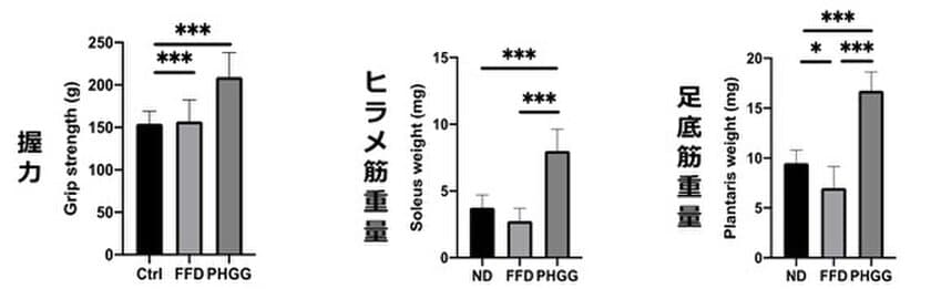 グアーガム分解物、糖尿病モデルマウスの
サルコペニア肥満を抑制することが明らかに　
第19回日本機能性食品医用学会総会で発表