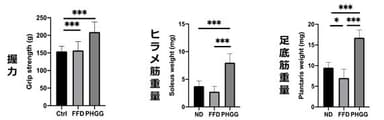 PHGGの握力および骨格筋(ヒラメ筋・足底筋)への作用