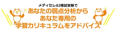 メディセレAI模擬試験弱点分析