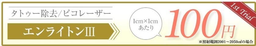 《タトゥー除去ならルーチェクリニックのピコレーザーで決まり》
「《1cm×1cmあたり110円(※)でタトゥー除去ができる
エコノミープラン》」を発売