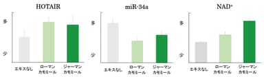 研究成果3