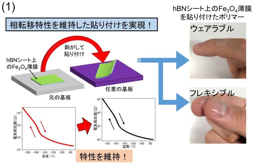 どこにでも貼り付けられる機能性酸化物薄膜　
―万能成長基板を用いた新たな薄膜成長と素子応用展開―