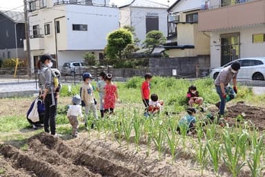 農園活動の様子