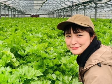 坂田園芸場(宮崎県)　参加野菜：セロリ