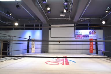 常設プロレスリングコート