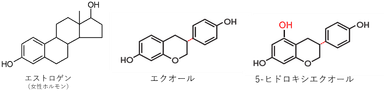 エクオールおよび5-ヒドロキシエクオールについて