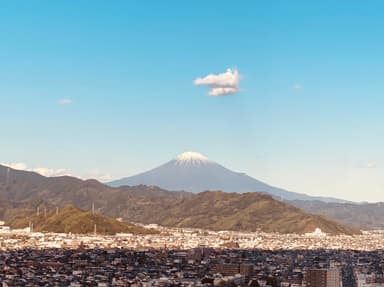 静岡県庁からの眺め