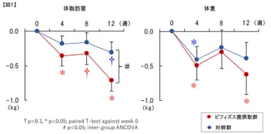 ビフィズス菌摂取による試験結果