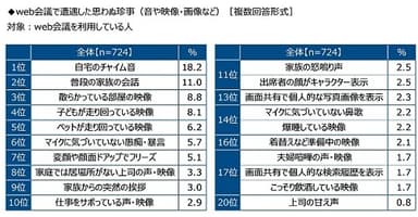 web会議で遭遇した思わぬ珍事（音や映像・画像など）