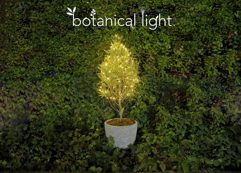 植物の力で発電！環境配慮型のエネルギー『botanical light』を
都内の商業施設に設置し2022年2月まで実証実験を実施