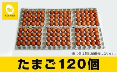 美ら卵養鶏場の新鮮で濃厚な卵＜120個入り＞