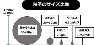 図表1 粒子のサイズ比較