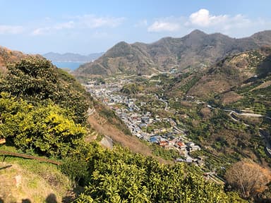 地区の全景