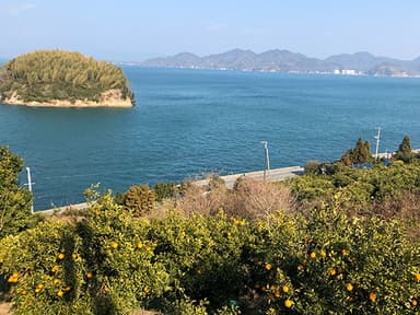 地区からの瀬戸内海景色