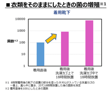 着用靴下 菌の増殖