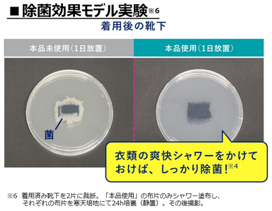 除菌効果実験