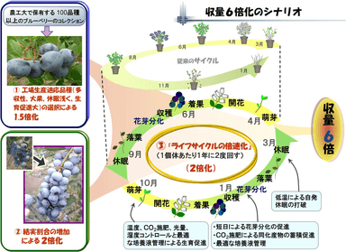 図1：ライフサイクルの短縮化と高収化のシナリオ