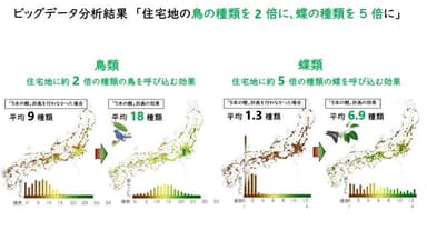 ビッグデータ分析結果