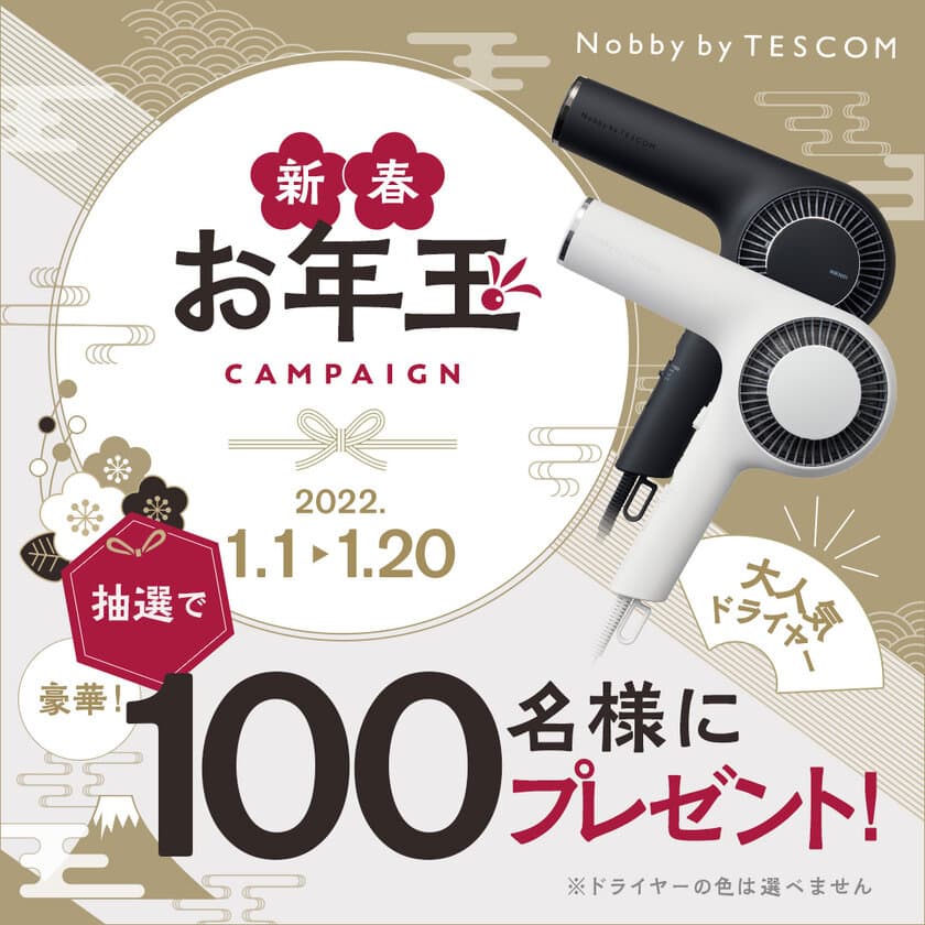 テスコム最上位機種(※1)ドライヤーを大奮発100台プレゼント！
お年玉キャンペーンを元日より実施