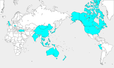 世界20か国以上で販売
