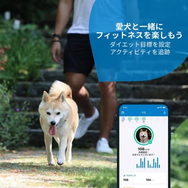 愛犬と一緒にフィットネスを楽しもう