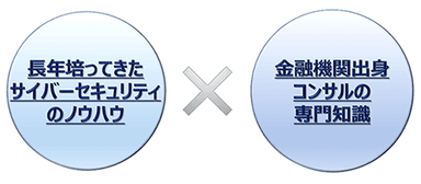 金融犯罪対策コンサルティングの特徴