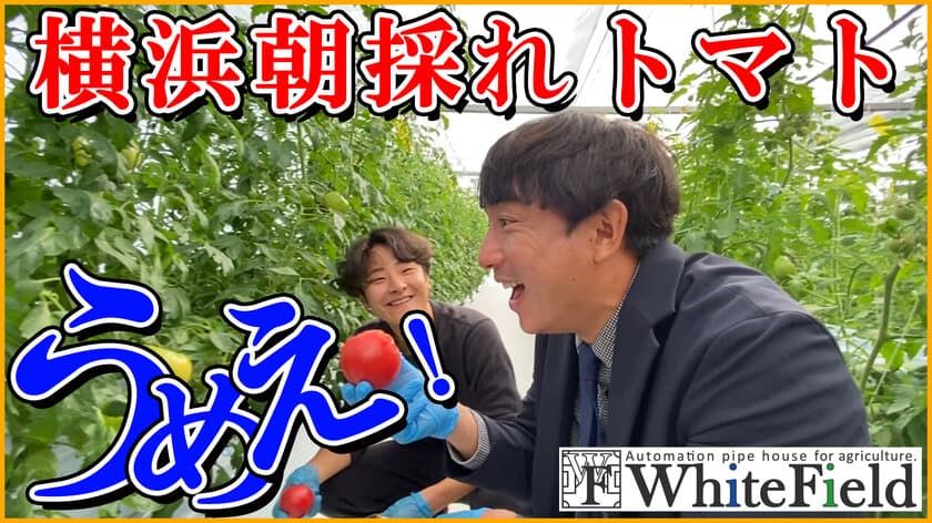 元メジャーリーガー「ムネリン」こと川崎宗則選手が
トマトの名付け親に！？最先端スマート農業を用いた
WHITE FIELDにて「チェストマト」の収穫が2月に本格開始！