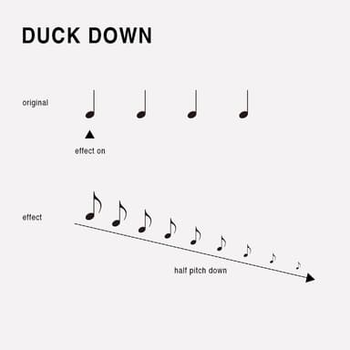 DUCK DOWN