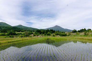 磐梯山と見渡す限りの田園風景