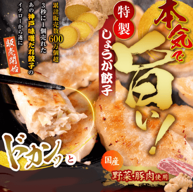 特製しょうが餃子