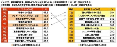 《シニア》若年層に将来、実現してもらいたいと思う社会《若年層》自分たちの手で将来、実現させたいと思う社会