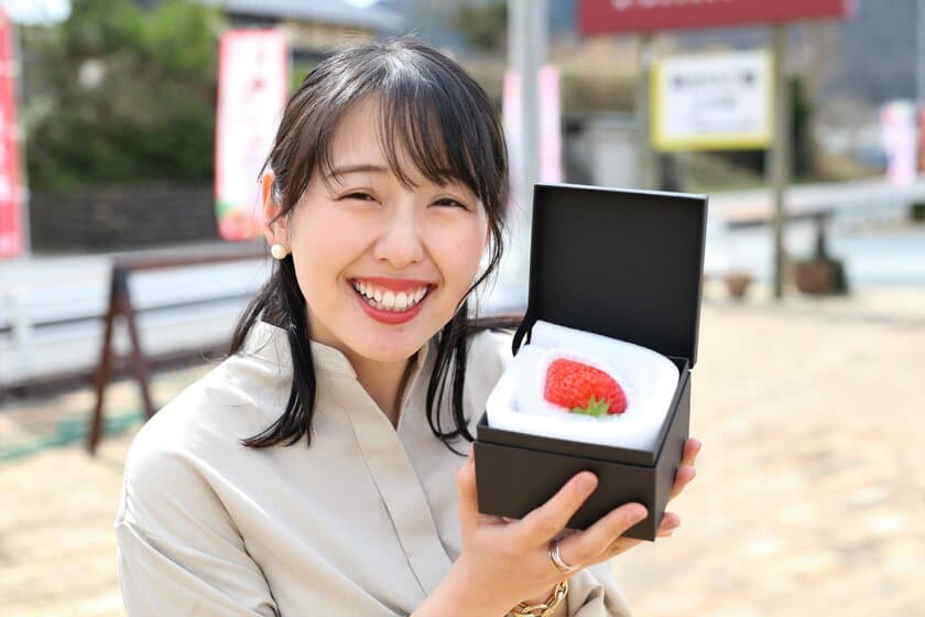 1粒1,000円の極上ブランドいちご「美しの香」が1月より販売！
3品種の香りと存在感を“世界3大美人”に例えたブランド名で展開