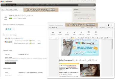 キャンペーン管理画面＆メールテンプレート編集画面