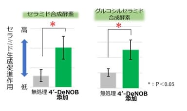 図2