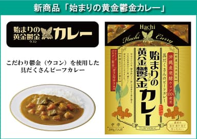 始まりの黄金鬱金カレー