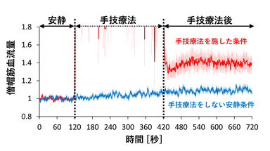 図(a):手技療法を施した条件（赤線）と手技療法を施さない条件（青線）の僧帽筋平均血流の時系列変化。薄い線は標準誤差。