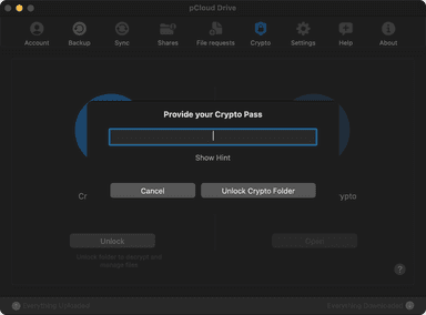 pCloud Cryptoのパスワード画面