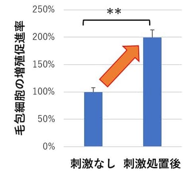 図2：細胞への刺激が、毛包細胞の増殖を促進　AGA：男性型脱毛症　FAGA：女性型脱毛症