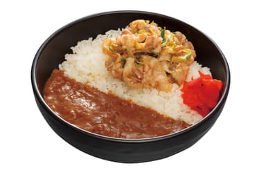 すたみなカレー