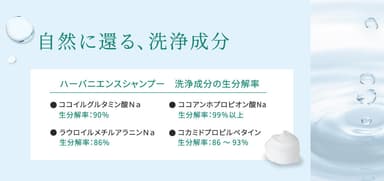 生分解性の高い洗浄成分