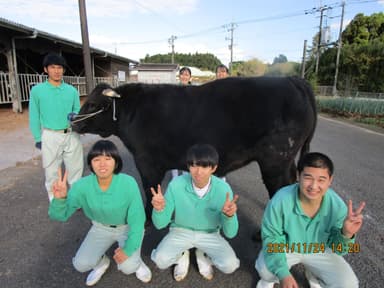 チャンピオン牛を飼育した「高校牛児」