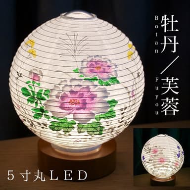 テーブルライト おしゃれ LED 5寸丸 提灯(2)