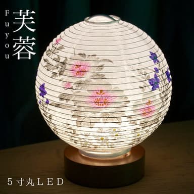 テーブルライト おしゃれ LED 5寸丸 提灯(3)