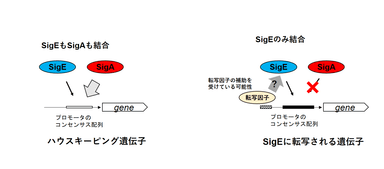 図4