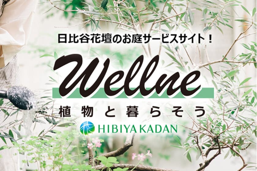 日比谷花壇初の個人邸宅向け
お庭づくりの総合サービス「ウェルネ」を
2月3日（木）から本格展開
〜ちょっと良い暮らしをお庭から。
「植物と暮らそう」〜
