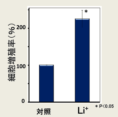 ケラチノサイト増殖活性