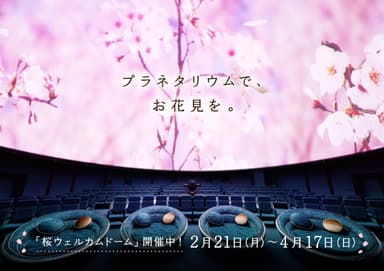 桜ウェルカムドーム_プラネタリアTOKYO_KV