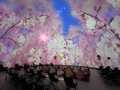 桜ウェルカムドーム_プラネタリアTOKYO_DOME1