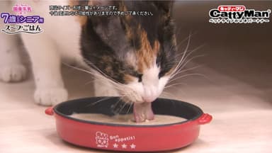 猫ちゃんの国産牛乳を使ったスープごはん　シニア用　猫ちゃん食べるシーン