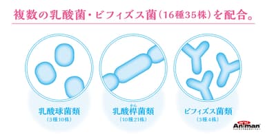 腸活生活に含まれる善玉菌